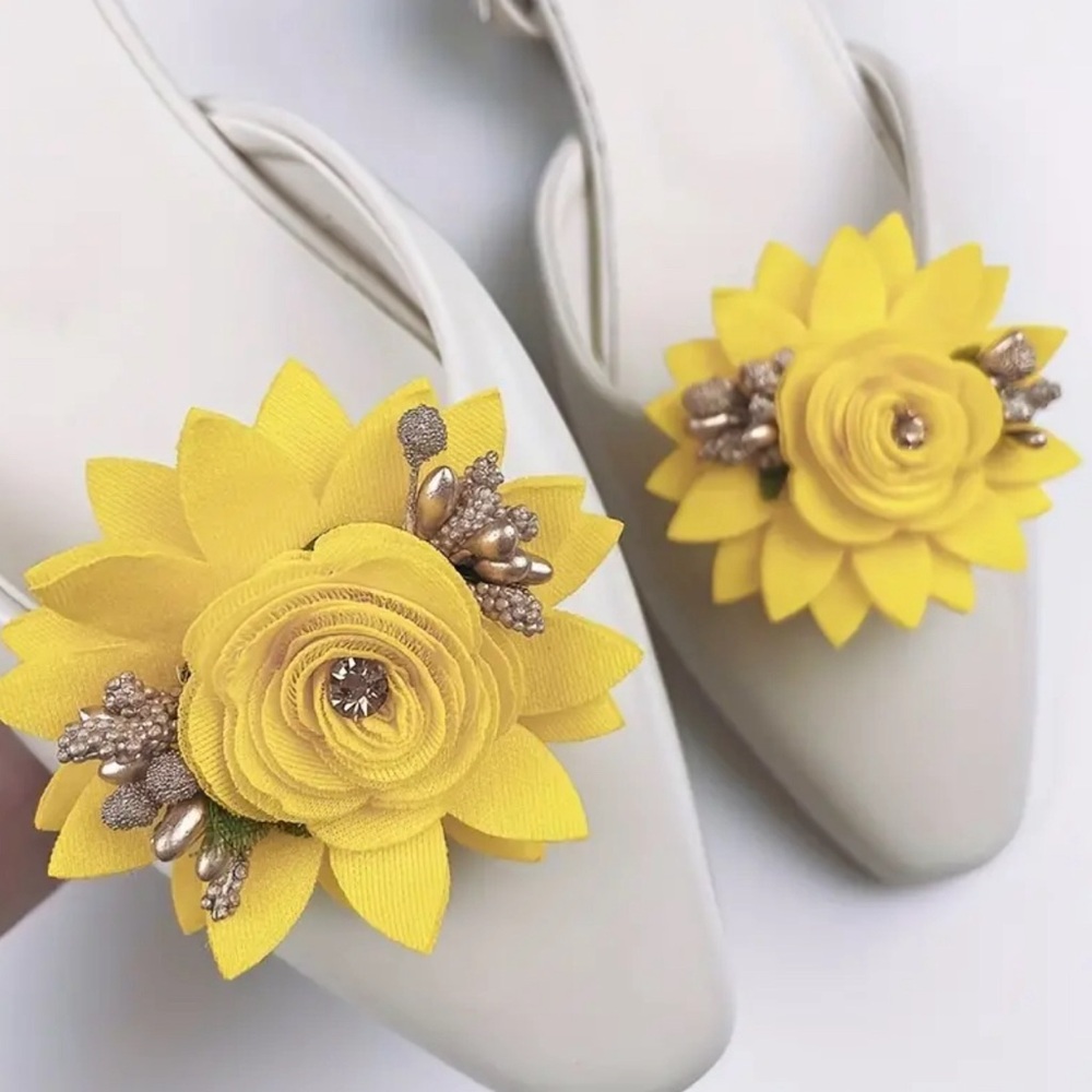 Shoe Clips